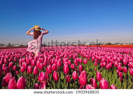 Young woman tourist in pink dress and straw hat standing in blooming tulip field. Spring time