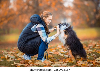 young woman training her tricolor sheltie dog new tricks in the park with a positive dog training method, clicker training and treats
 - Shutterstock ID 2262913187