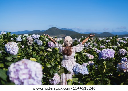 Young woman traveler enjoying with blooming hydrangeas in Dalat, Vietnam, Travel lifestyle concept