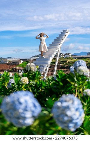 Young woman traveler enjoying with blooming hydrangeas garden in Dalat, Vietnam, Travel lifestyle concept