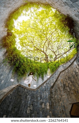 Young woman traveler with giant tree at Fort Canning Tree Tunnel in Singapore