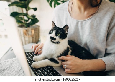 Jovem mulher usando laptop e gato fofo sentado no teclado. Amigo fiel. Garota casual trabalhando no laptop com seu gato, sentados juntos em uma sala moderna com travesseiros e plantas. Escritório doméstico.