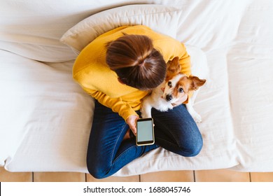 young woman using mobile phone, cute small dog besides. Sitting on the couch, wearing protective mask. Stay home concept during coronavirus covid-2019