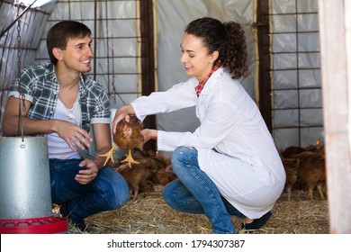 Young Woman Veterinarian Chatting With Farm Worker On Poultry Farm