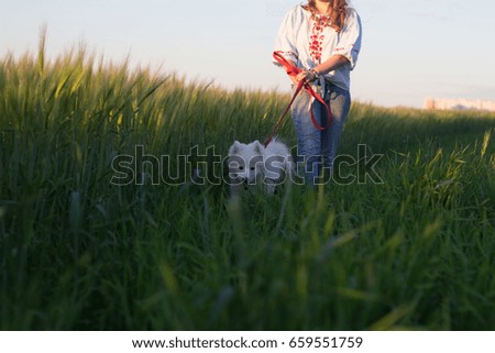 Image, Stock Photo Blond woman walking her dogs at sunset