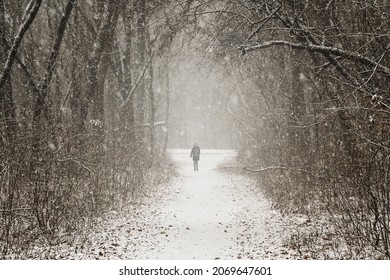 Young Woman Walking Along A Snowy Path Among The Trees On A Snowy Winter Day. Spending Time Alone In Nature. Back View.