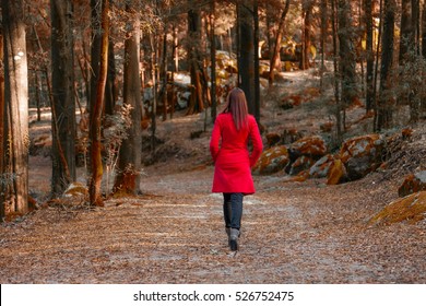Young woman walking away alone on a forest path wearing a red overcoat