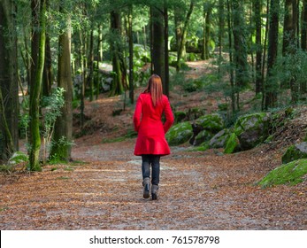 Young Woman Walking Away Alone On Forest Path Wearing Red Long Coat Or Overcoat. Girl Back View Of Walk In Woods Of Nature Park During Fall Or Autumn