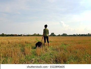 Young Woman Walking The Dog In The Field