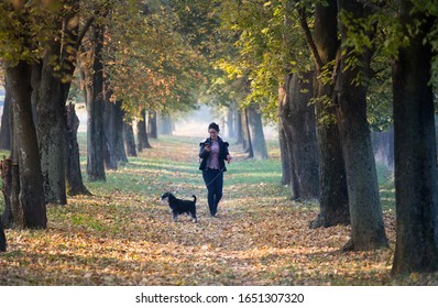 Young Woman Walking Dog Miniature Schnauzer In Park In Autumn Time And Looking At Mobile Phone