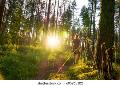 Young Woman Walking In Forest Path At Sunset. Summer Night In Nature At Dawn. Carefree Lifestyle. Sun Shining. Girl Hiking In The Woods.