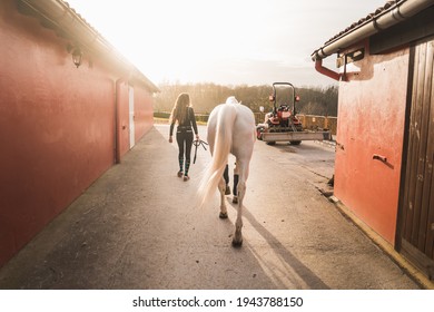 Young woman walking with a horse through the equestrian centre - Powered by Shutterstock