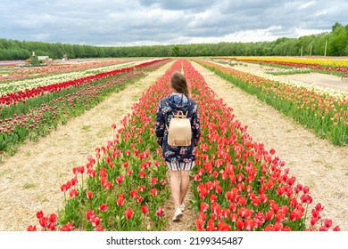 Young Woman Walking Through Beautiful Colorful Tulips Field