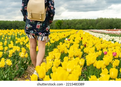 Young Woman Walking Through Beautiful Colorful Tulips Field