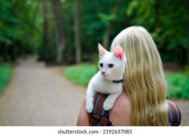 Young Woman Walking In The Woods With A Young White Cat In The Back Pack