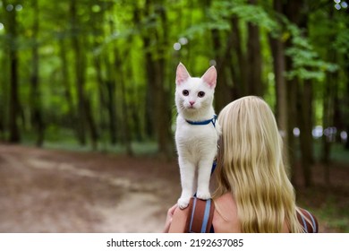 Young Woman Walking In The Woods With A Young White Cat In The Back Pack