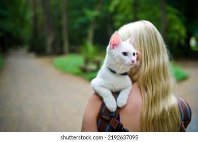 Young Woman Walking In The Woods With A Young White Cat In The Back Pack