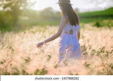 young woman walks hand touching gentle of flowers, feel freedom in the light of warm sun, bloom of wild flowers in meadow, enjoyment and peaceful in the field of meadow