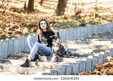 young woman walks her dog in an autumn park full of leaves
