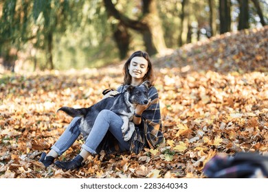 young woman walks her dog in an autumn park full of leaves