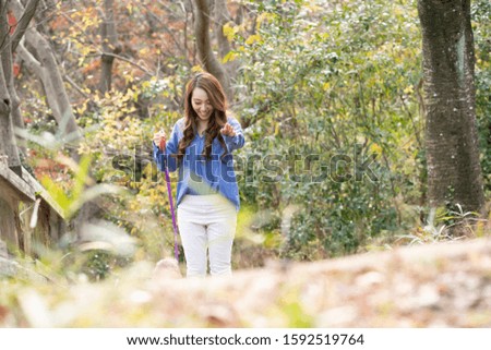 Similar – Image, Stock Photo cute brown toy poodle dog standing at sunset by countryside. Fun, sports and pets outdoors