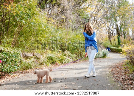 Similar – Image, Stock Photo cute brown toy poodle dog standing at sunset by countryside. Fun, sports and pets outdoors