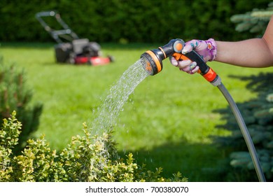 Young woman watering in the garden.