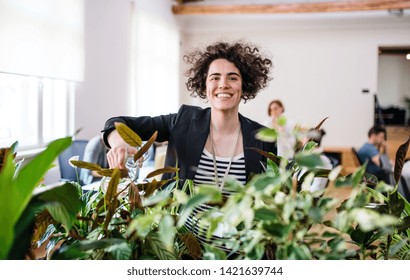 Young Woman Watering Plants In Office, Start-up Business.