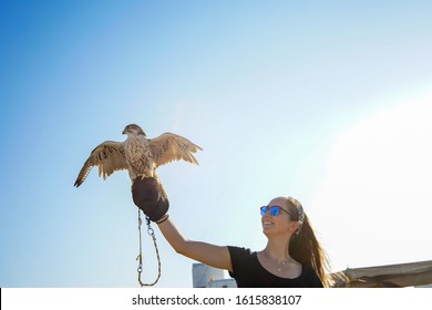 Young woman wearing blue sunglasses holding Qatari falcon. Bright sunny day, clear blue sky. Doha, Qatar -Image