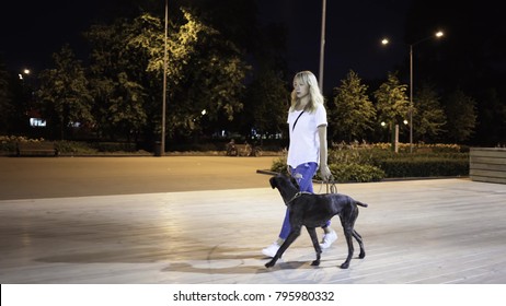 Young Woman Wearing Jeans And A T Shirt Is Walking With Her Big Black Dog In A Park On A Summer Night. Tracking Real Time Medium Shot