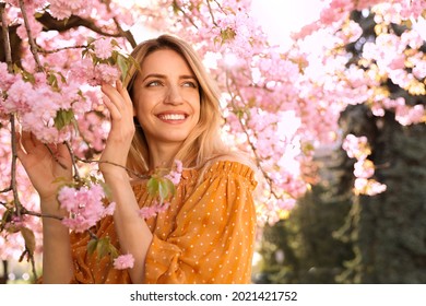 Young Woman Wearing Stylish Outfit Near Blossoming Sakura In Park. Fashionable Spring Look