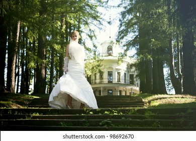 Young Woman In A Wedding Dress