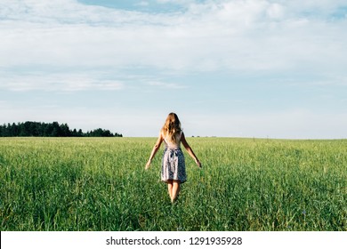 Young woman in wheat field. View from the back