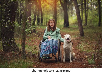 Young Woman In A Wheelchair With The White Seeing Eye Dog In Spring Forest