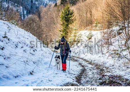 young woman and white dog trekking in winter mountains