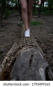 Young Woman With White Shoes And Bare Legs Walking With Balance On A Trunk Tree To Front In The Middle Of The Forest