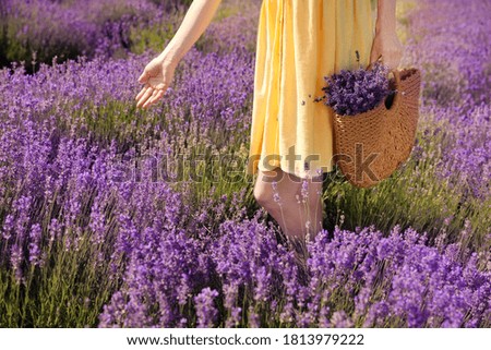 Similar – #A# Lavender walk Art