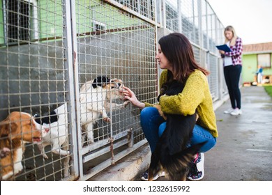 Young Woman With Worker Choosing Which Dog To Adopt From A Shelter.