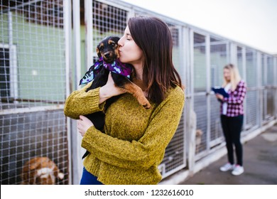 Young woman with worker choosing which dog to adopt from a shelter. - Shutterstock ID 1232616010