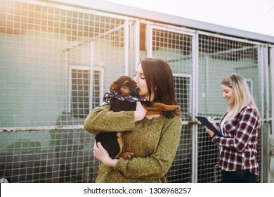 Young woman with worker choosing which dog to adopt from a shelter. - Powered by Shutterstock