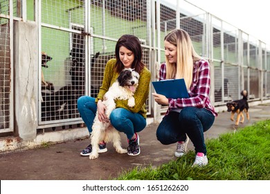 Young woman with worker choosing which dog to adopt from a shelter. - Shutterstock ID 1651262620