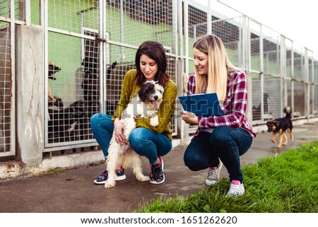 Young woman with worker choosing which dog to adopt from a shelter.

