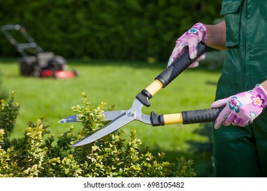 Young woman working in the garden.