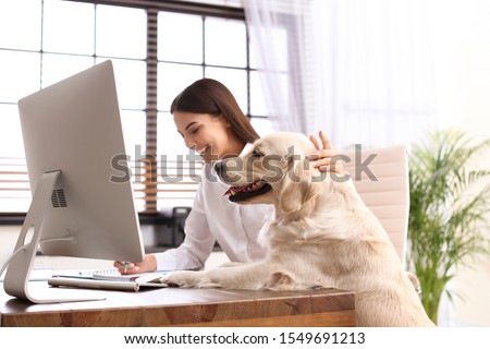 Young woman working at home office and stroking her Golden Retriever dog