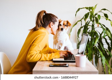 young woman working on laptop at home,cute small dog besides. work from home, stay safe during coronavirus covid-2019 concpt - Shutterstock ID 1688044927