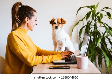 young woman working on laptop at home,cute small dog besides. work from home, stay safe during coronavirus covid-2019 concpt - Shutterstock ID 1688044930