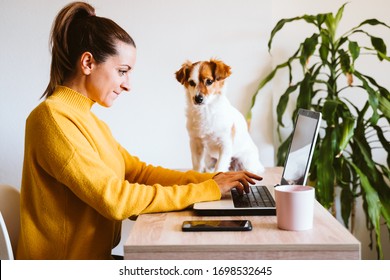 young woman working on laptop at home, wearing protective mask, cute small dog besides. work from home, stay safe during coronavirus covid-2019 concpt - Shutterstock ID 1698532645