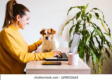 young woman working on laptop at home, wearing protective mask, cute small dog besides. work from home, stay safe during coronavirus covid-2019 concpt - Shutterstock ID 1698532663