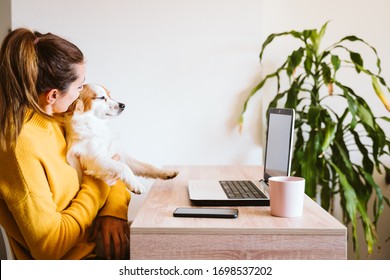 young woman working on laptop at home, wearing protective mask, cute small dog besides. work from home, stay safe during coronavirus covid-2019 concpt - Shutterstock ID 1698537202