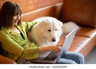 Young Woman Works On Laptop Computer While Sitting With Her Cute White Dog On A Couch At Home. Remote Work From Home And Friendship With Pets